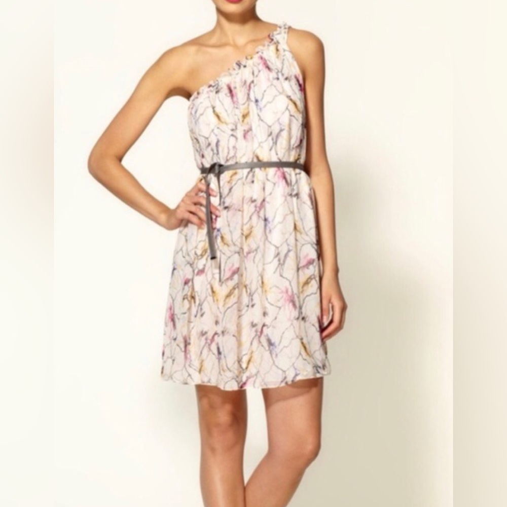 Elizabeth and James Raquel One Shoulder Mini Dress